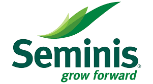 SEMINIS